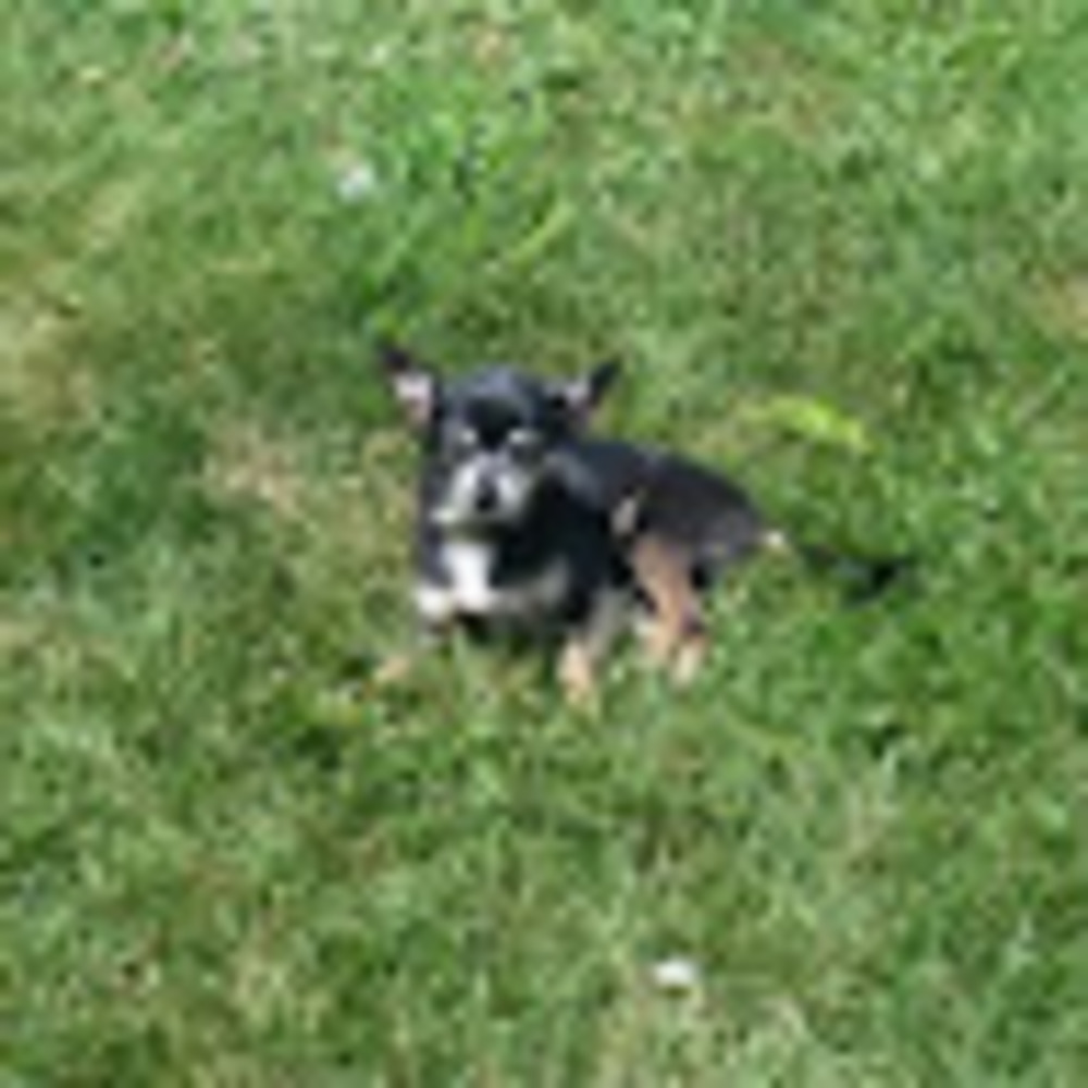 Meet your Posher, Kris